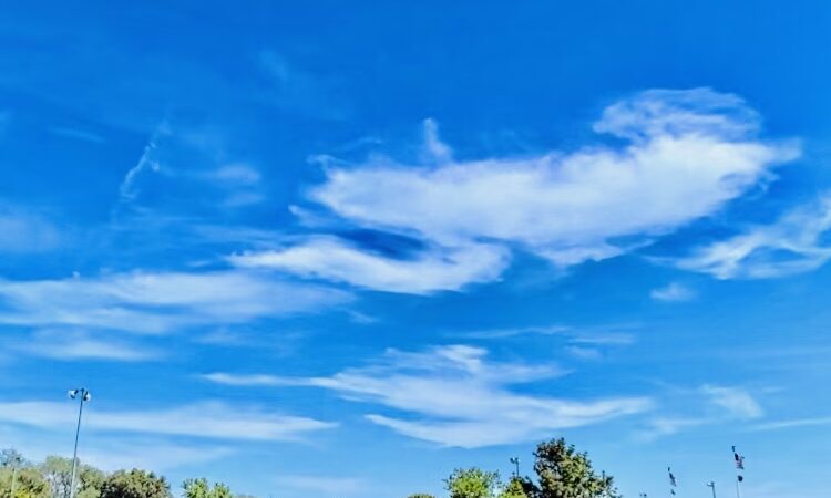 Flushing Meadows Pitch & Putt - Flushing, NY