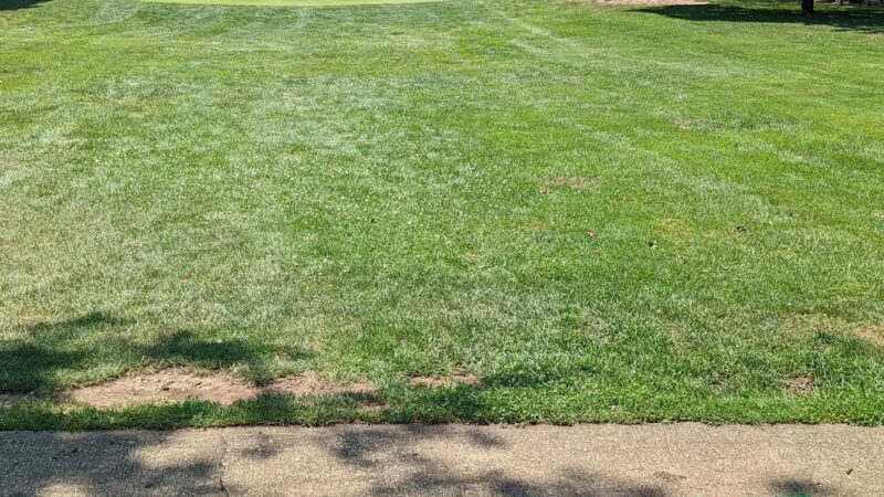 Flushing Meadows Pitch & Putt - Flushing, NY