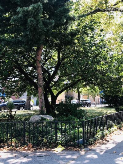 Lawrence Triangle - Flushing, NY