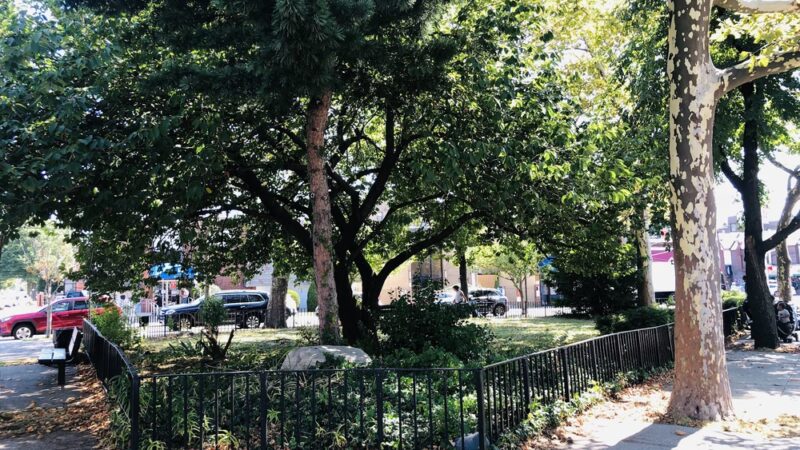 Lawrence Triangle - Flushing, NY