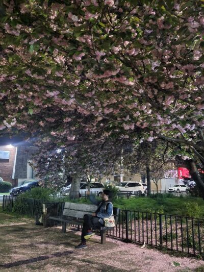 Lawrence Triangle - Flushing, NY