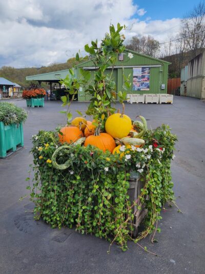 Fly Creek Cider Mill & Orchard - Fly Creek, NY