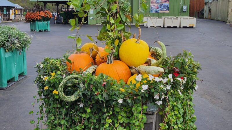 Fly Creek Cider Mill & Orchard - Fly Creek, NY