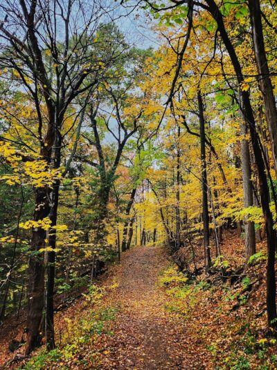 Upper Macungie Park - Fogelsville, PA