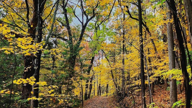 Upper Macungie Park - Fogelsville, PA