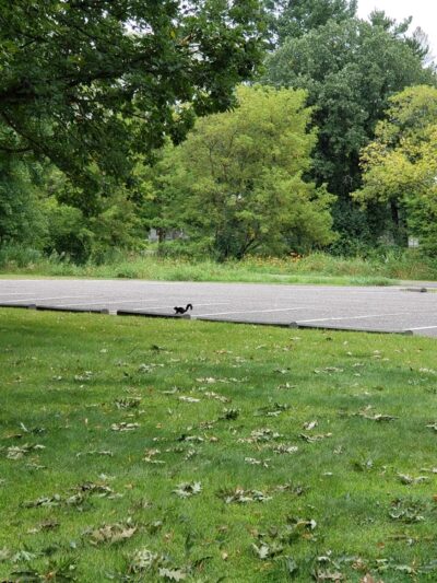 Holdridge Park - Foley, MN