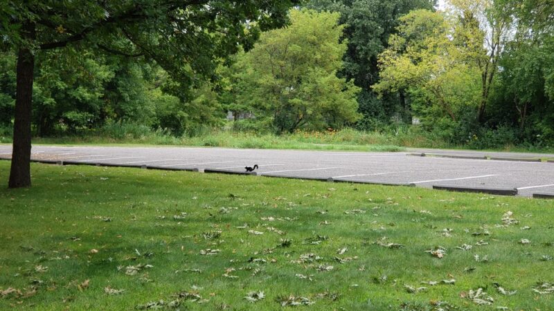 Holdridge Park - Foley, MN