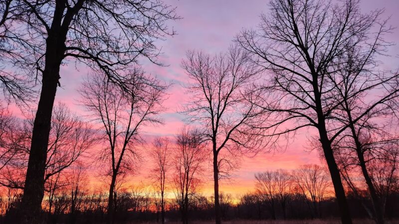 Holdridge Park - Foley, MN