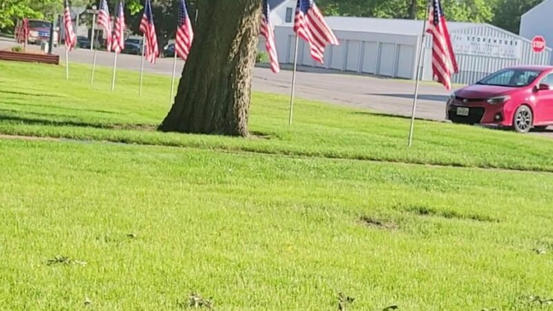 Fontanelle City Park - Fontanelle, IA