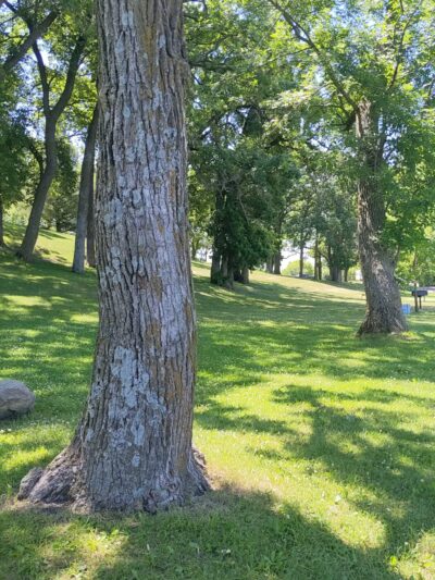 Crystal Lake Park - Forest City, IA