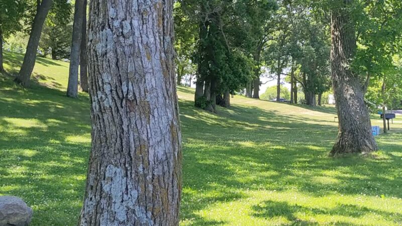 Crystal Lake Park - Forest City, IA