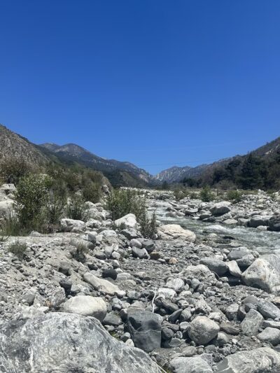 Bearpaw Reserve - Forest Falls, CA