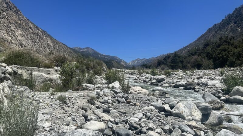 Bearpaw Reserve - Forest Falls, CA
