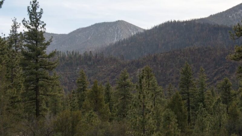 Big Falls Trailhead 1E13 - Forest Falls, CA