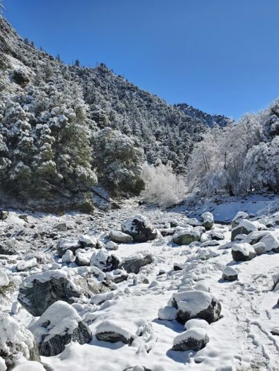 Big Falls Trailhead 1E13 - Forest Falls, CA