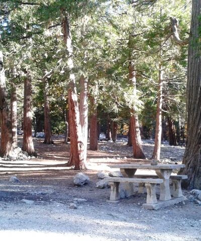 Falls Picnic Area - Forest Falls, CA
