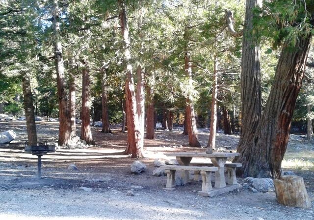 Falls Picnic Area - Forest Falls, CA