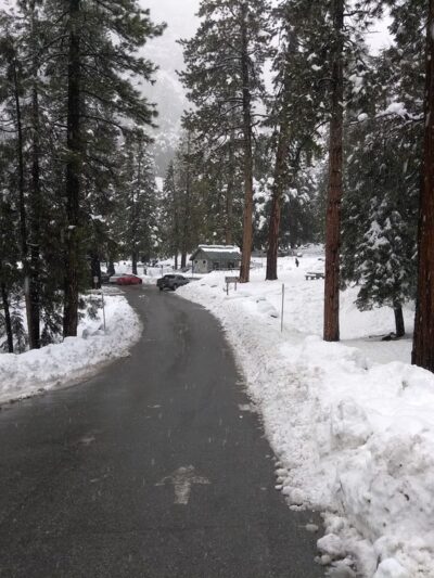 Falls Picnic Area - Forest Falls, CA