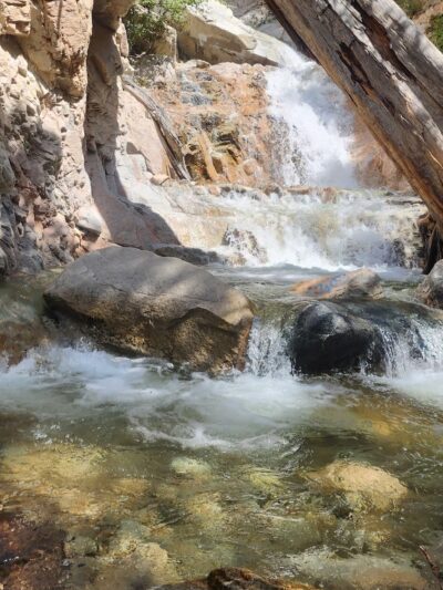 Falls Picnic Area - Forest Falls, CA