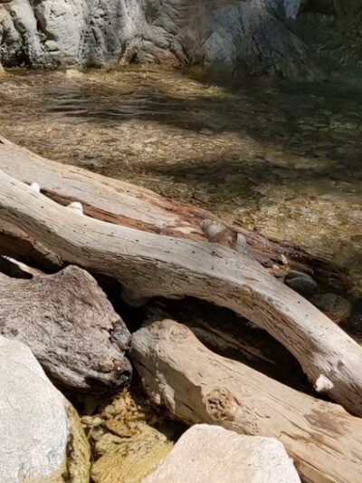 Forest Falls - Forest Falls, CA