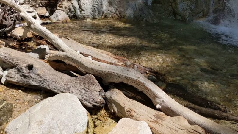Forest Falls - Forest Falls, CA