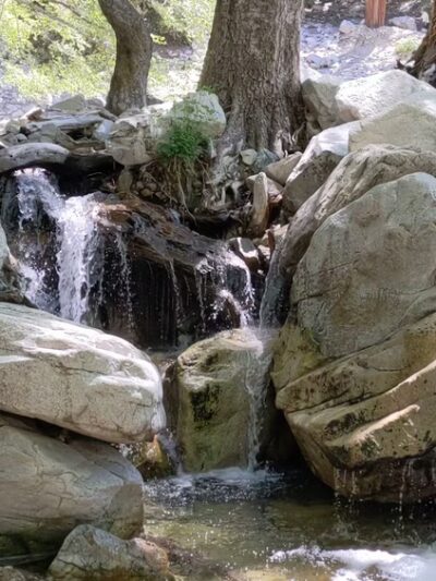 Forest Falls - Forest Falls, CA