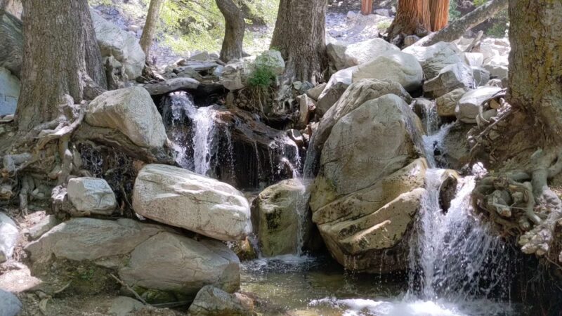 Forest Falls - Forest Falls, CA