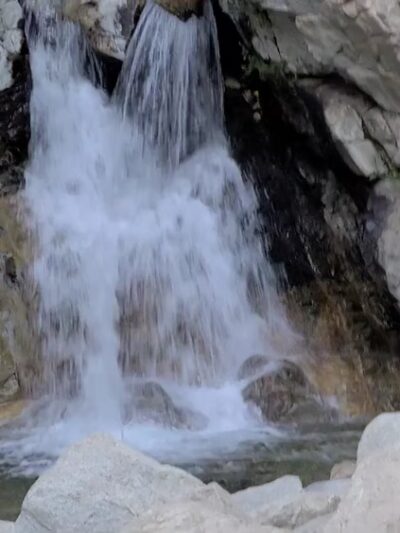Forest Falls - Forest Falls, CA