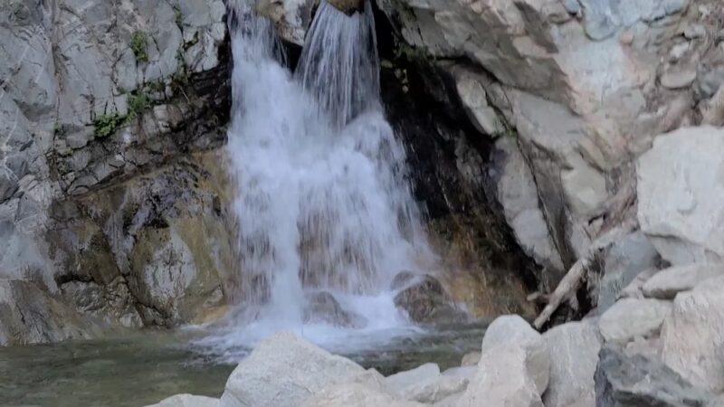 Forest Falls - Forest Falls, CA