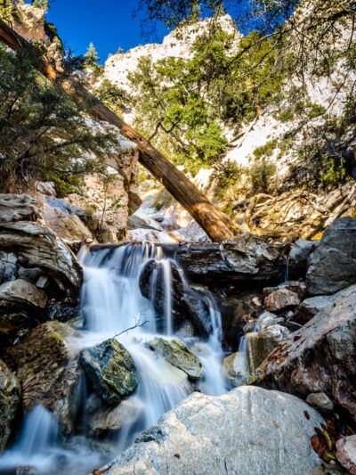 Forest Falls - Forest Falls, CA