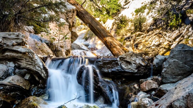 Forest Falls - Forest Falls, CA