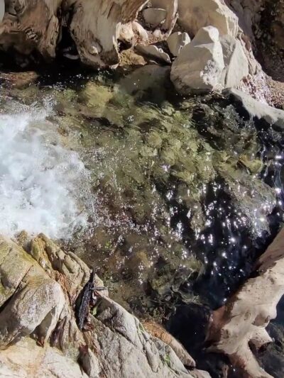 Forest Falls - Forest Falls, CA