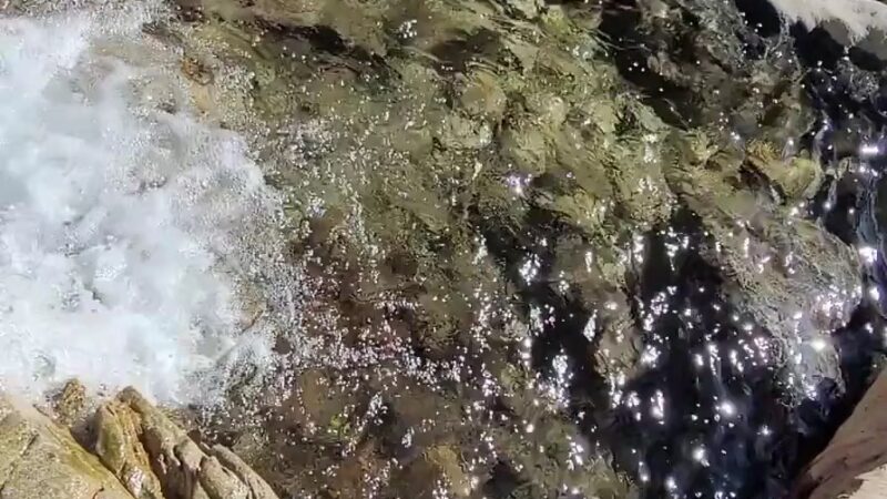 Forest Falls - Forest Falls, CA