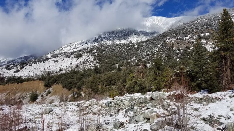 Momyer Creek Trail 1E06 - Forest Falls, CA