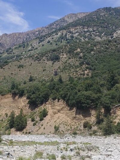 Momyer Creek Trail 1E06 - Forest Falls, CA