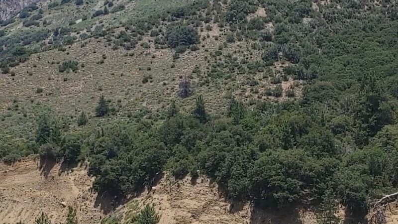 Momyer Creek Trail 1E06 - Forest Falls, CA