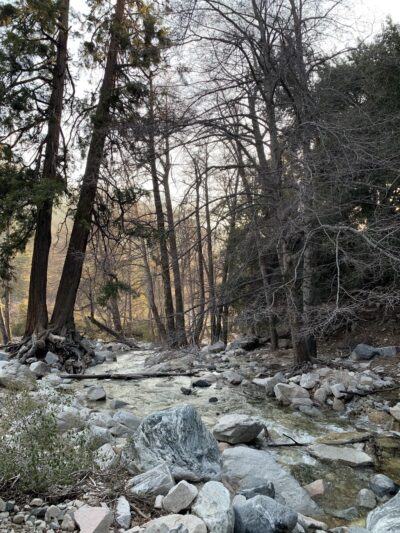 Momyer Creek Trail 1E06 - Forest Falls, CA