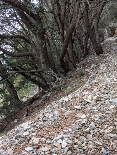 Momyer Creek Trail 1E06 - Forest Falls, CA
