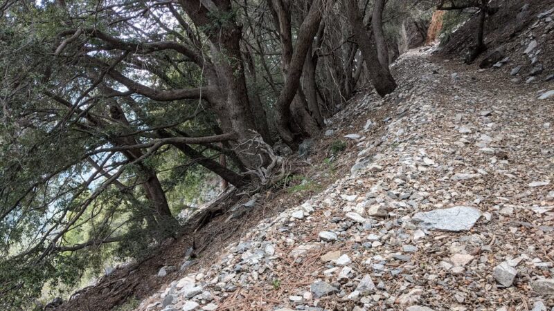 Momyer Creek Trail 1E06 - Forest Falls, CA