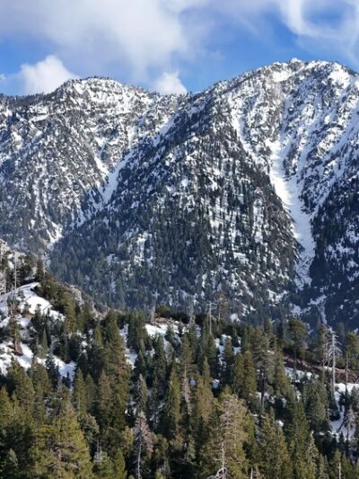 Vivian Creek Trailhead 1E08 - Forest Falls, CA