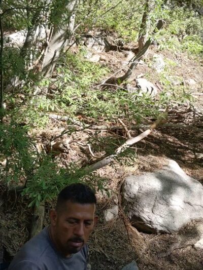 Vivian Creek Trailhead 1E08 - Forest Falls, CA