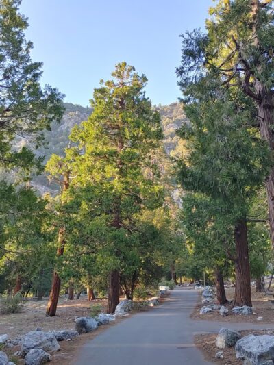 Vivian Creek Trailhead 1E08 - Forest Falls, CA