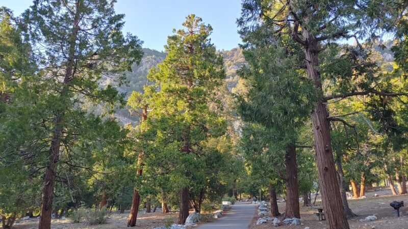 Vivian Creek Trailhead 1E08 - Forest Falls, CA