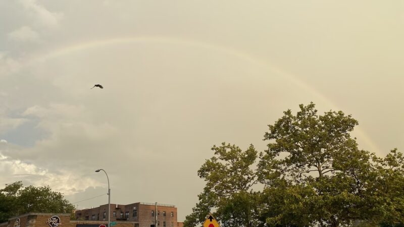 Federoff Triangle - Forest Hills, NY