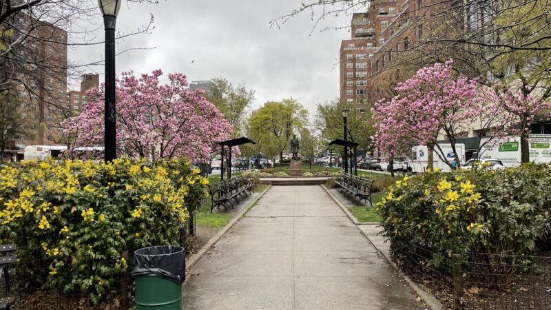 MacDonald Park - Forest Hills, NY