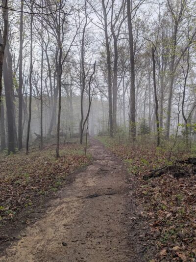 Chickering Trailhead - Forest Hills, TN