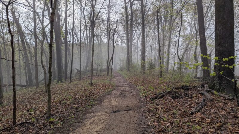 Chickering Trailhead - Forest Hills, TN