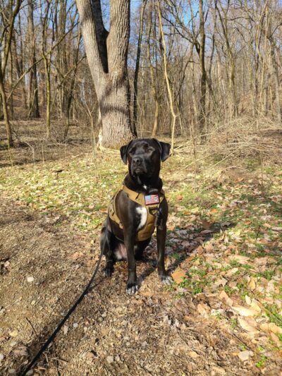Chickering Trailhead - Forest Hills, TN