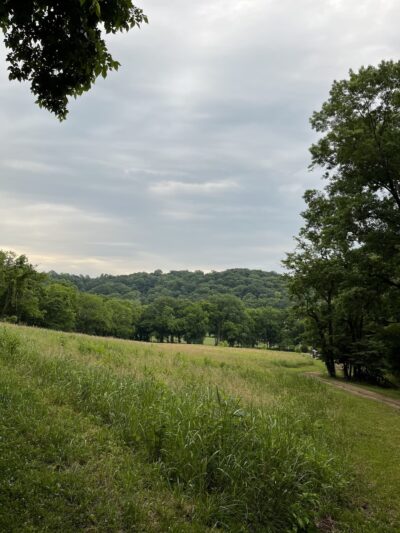 Chickering Trailhead - Forest Hills, TN