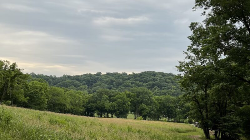 Chickering Trailhead - Forest Hills, TN
